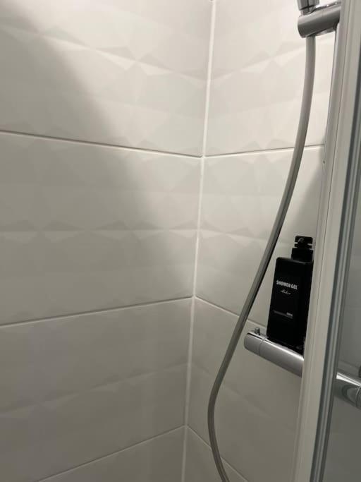 Loiret Luxe T2 Apartment Olivet  Bagian luar foto