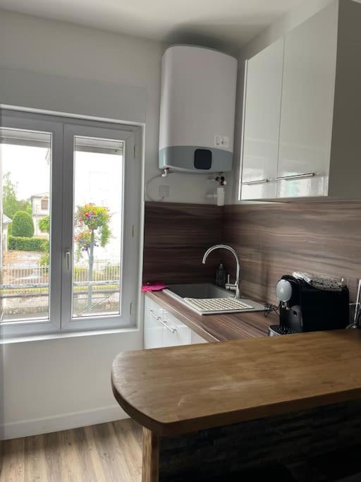 Loiret Luxe T2 Apartment Olivet  Bagian luar foto
